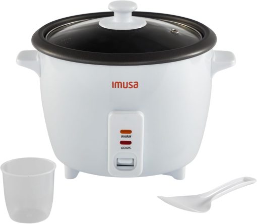 Versatile Mini Cooker